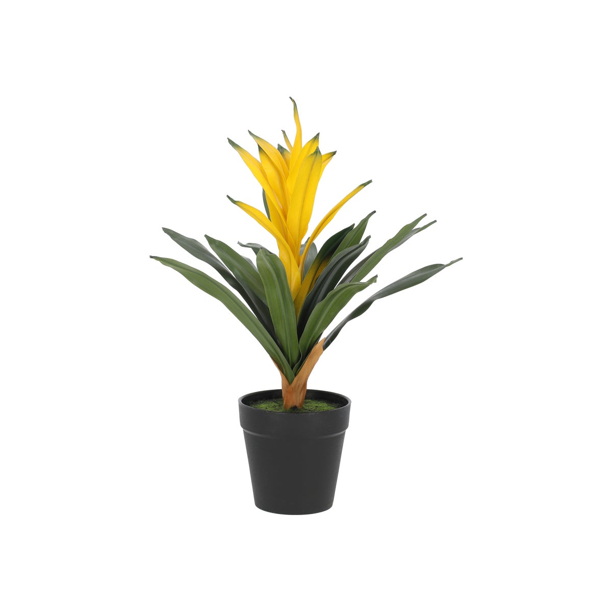 Plant bromelia 32 cm Plant bromelia 32 cm