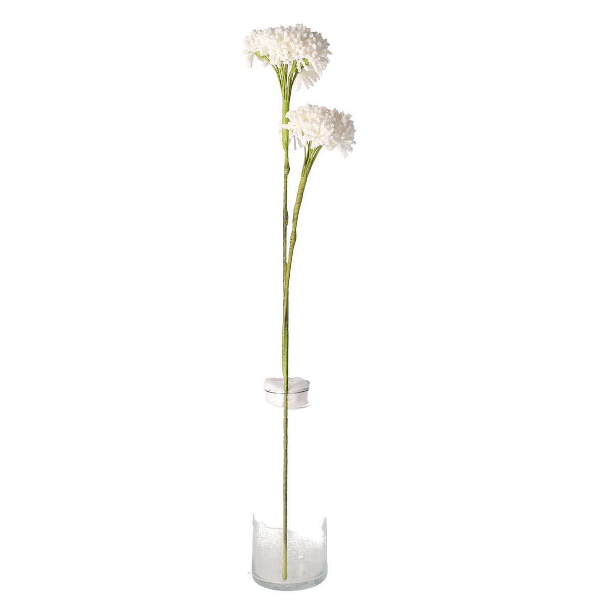 Tak klauw wit 87cm Tak klauw wit 87cm