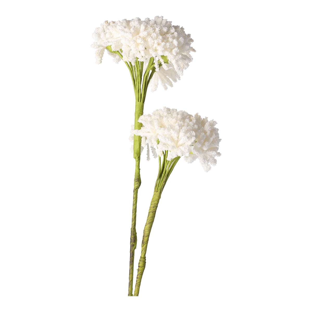 Tak klauw wit 87 cm Tak klauw wit 87 cm