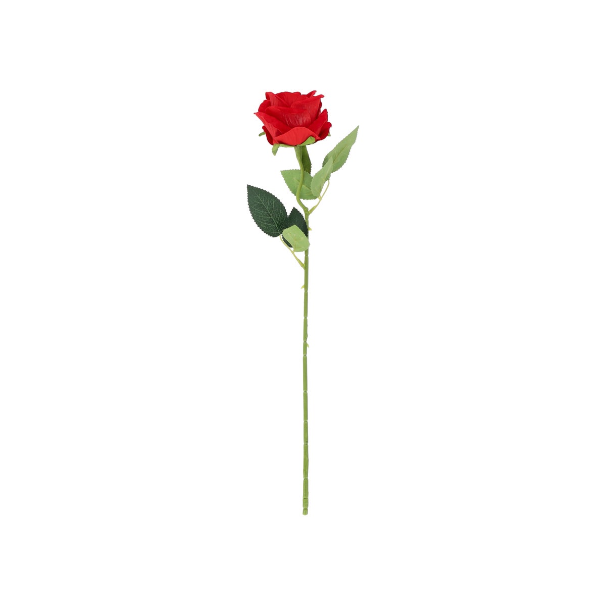 Bloem roos rood 50 cm Bloem roos rood 50 cm