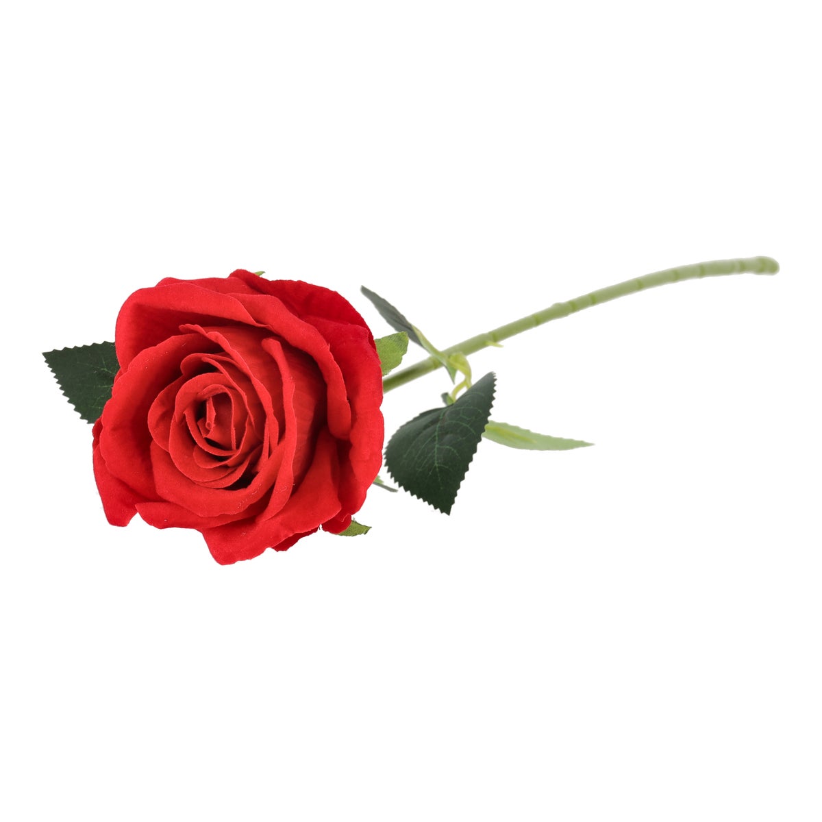 Bloem roos rood 50 cm Bloem roos rood 50 cm
