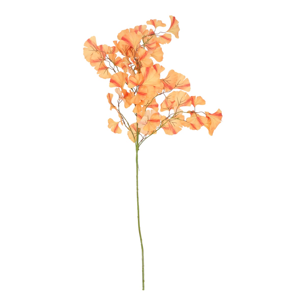 Tak Ginkgo oranje 105 cm Tak Ginkgo oranje 105 cm