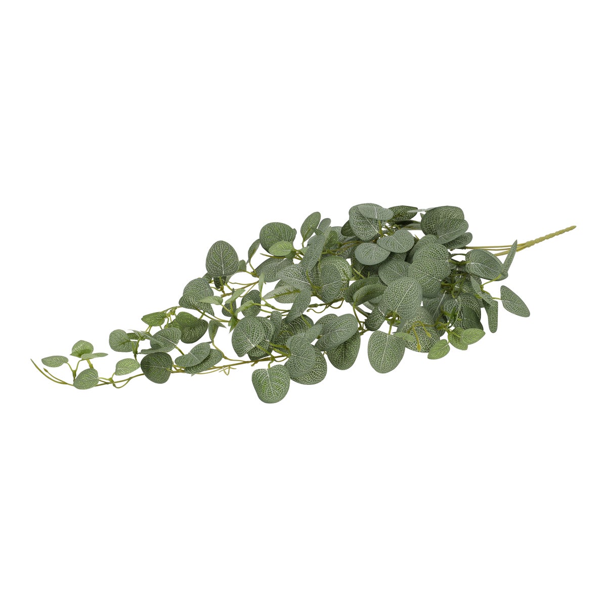 Tak Eucalypthus Mint 80 cm Tak Eucalypthus Mint 80 cm