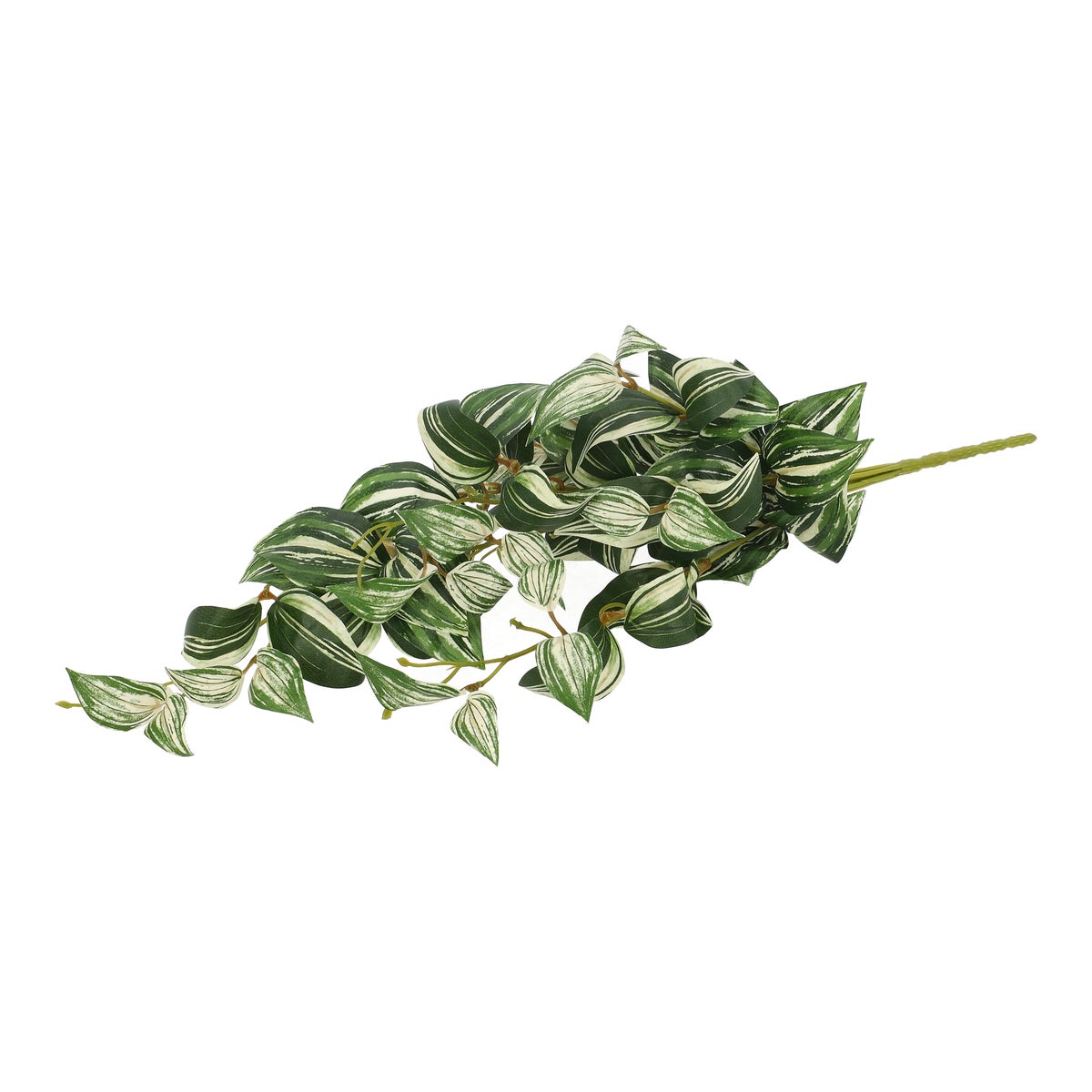 Tak Tradescantia 55 cm Tak Tradescantia 55 cm