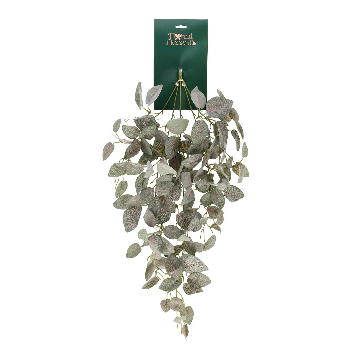 Tak Fittonia 80 cm Tak Fittonia 80 cm