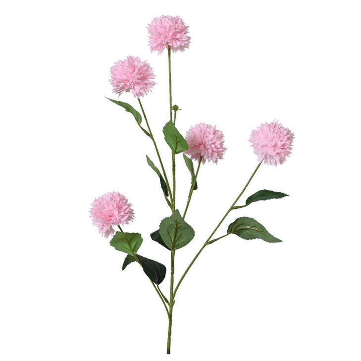 Korenbloem 82 cm roze Korenbloem 82 cm roze