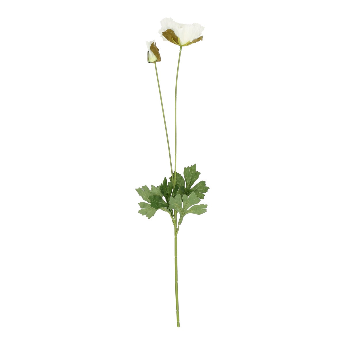 Bloem poppy wit 60 cm Bloem poppy wit 60 cm