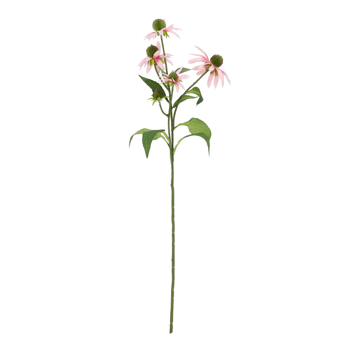 Bloem Rudbeckia roze 73 cm Bloem Rudbeckia roze 73 cm