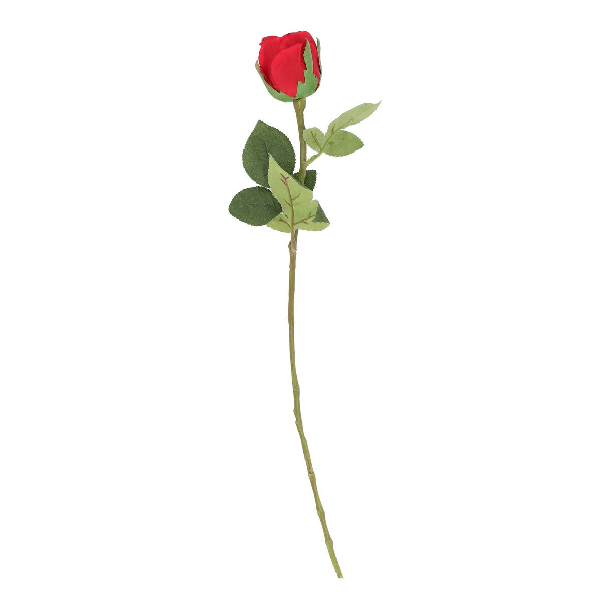 Roos 52 cm rood Roos 52 cm rood