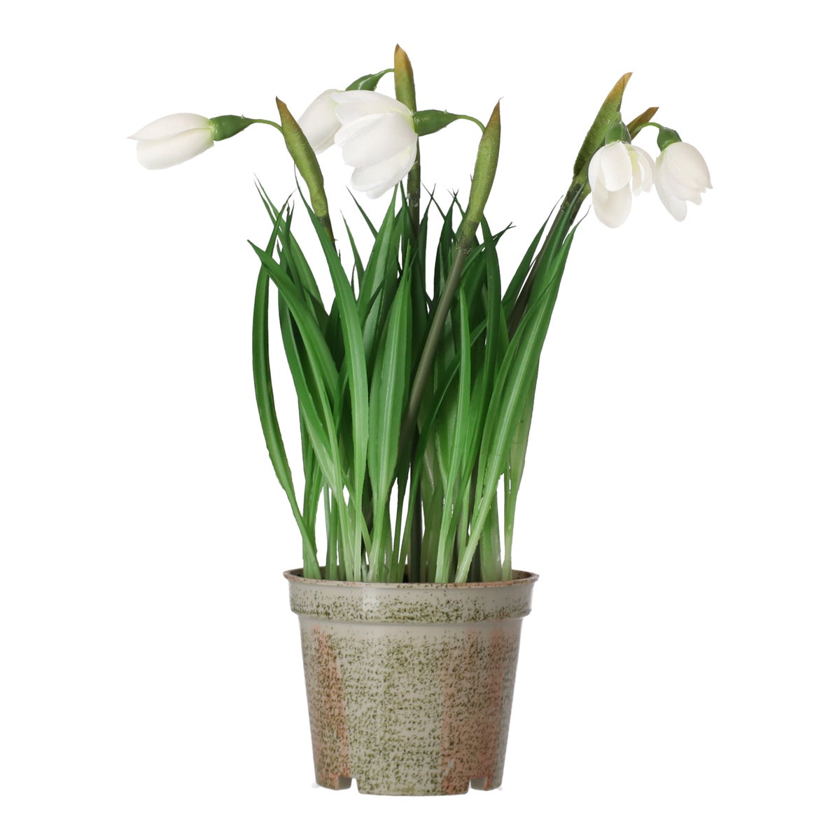 Bloem sneeuwklokje 24 cm Bloem sneeuwklokje 24 cm