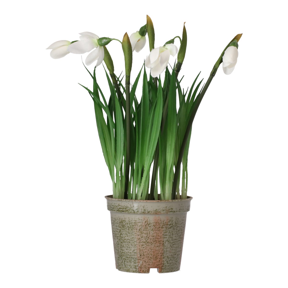 Bloem sneeuwklokje 24 cm Bloem sneeuwklokje 24 cm