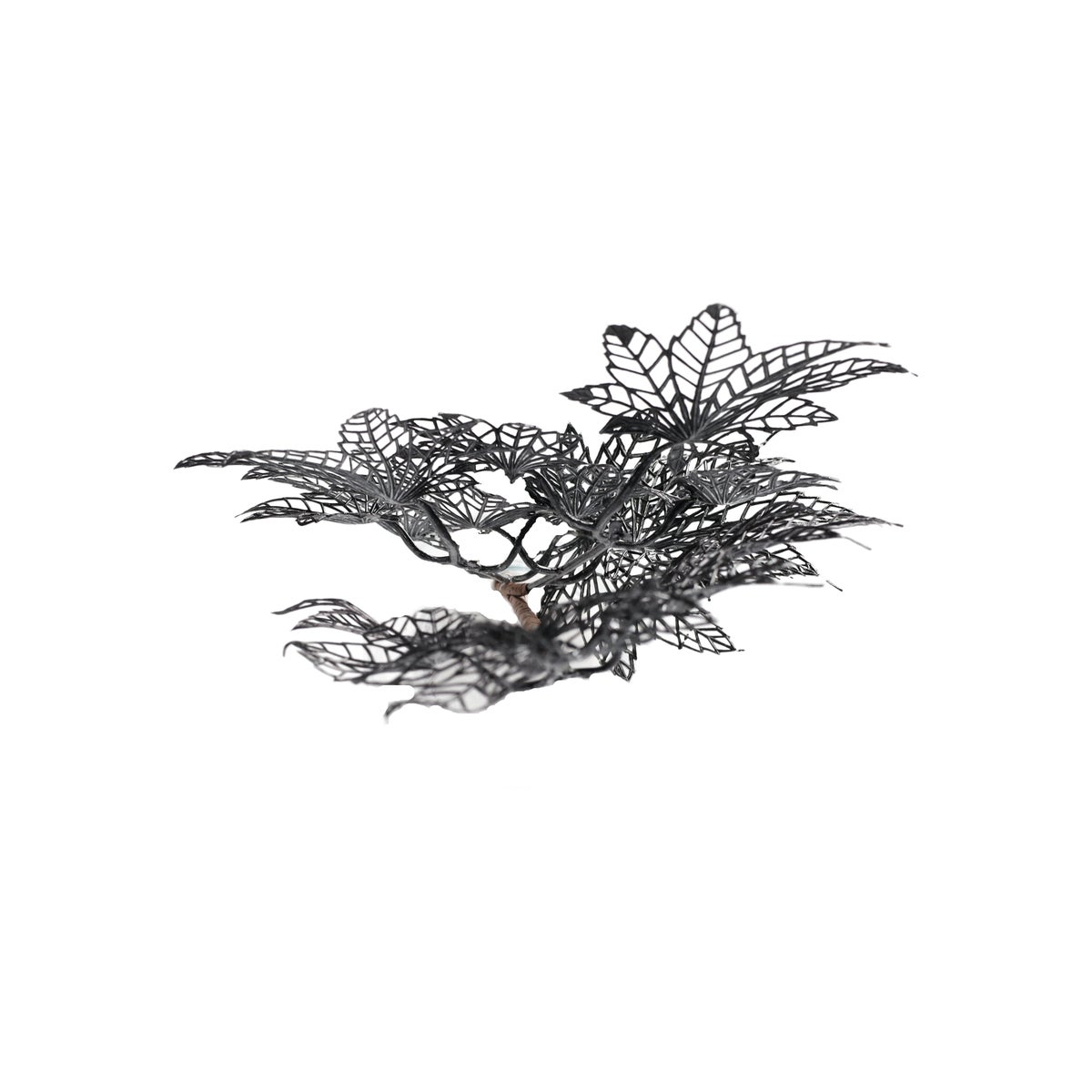 Tak maple leaf 76 x 25 x 3 cm zwart Tak maple leaf 76 x 25 x 3 cm zwart