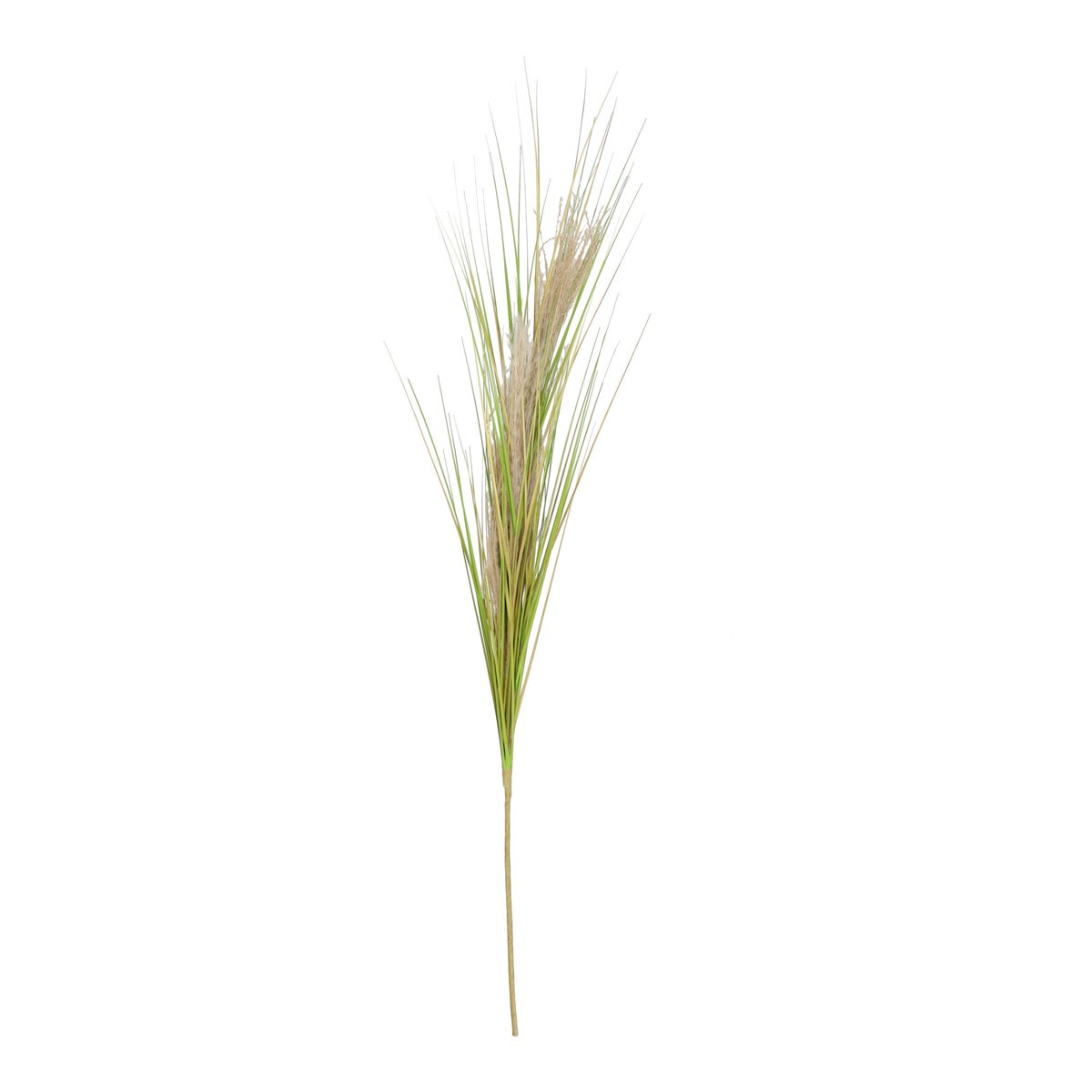 Tak Pampas gras 132 cm Tak Pampas gras 132 cm