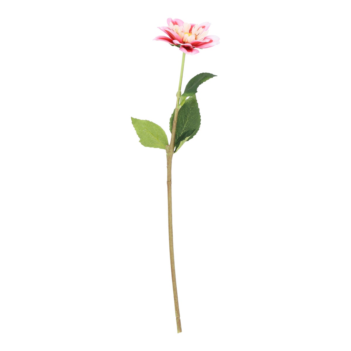 Tak dahlia bumble rumble roze 50 cm Tak dahlia bumble rumble roze 50 cm