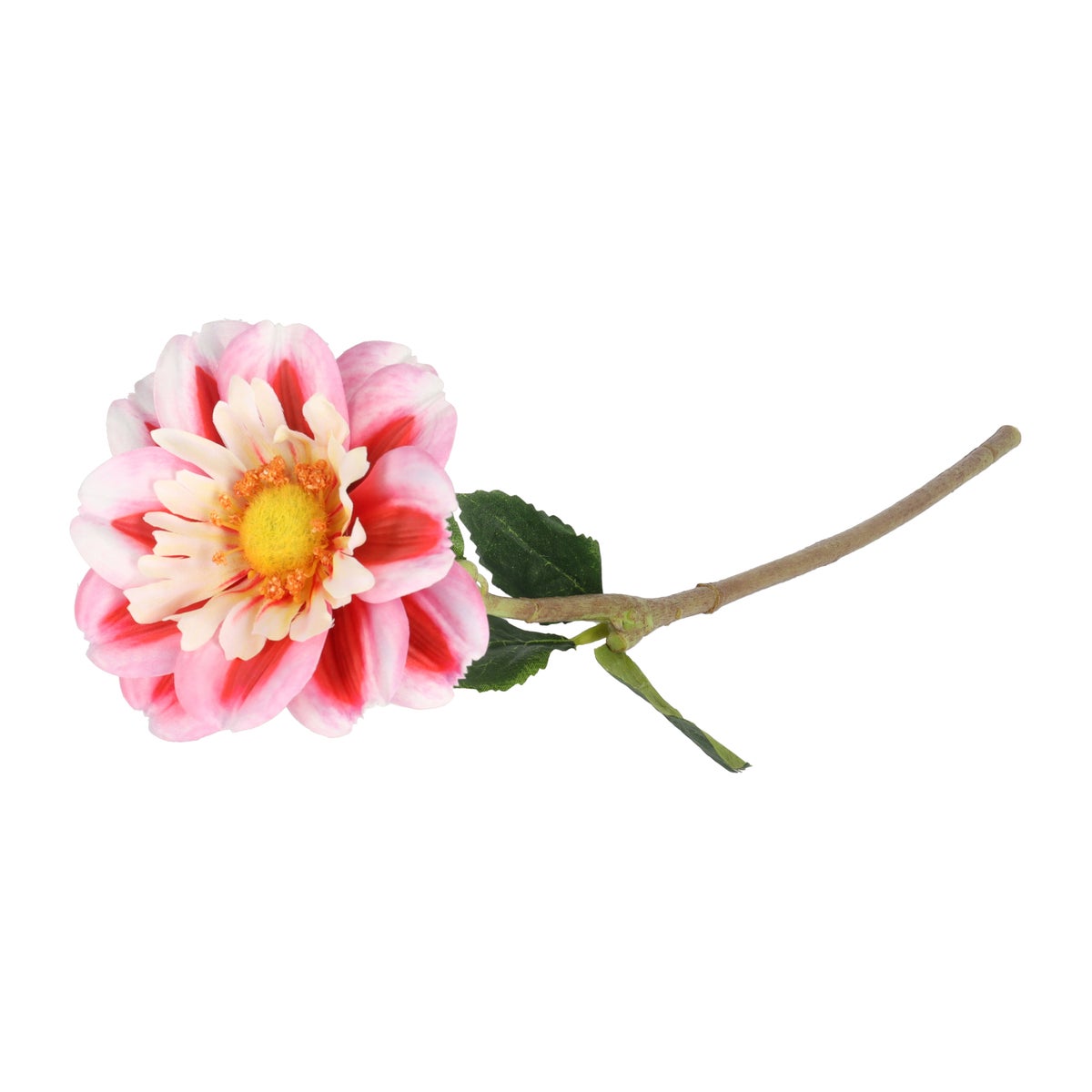 Tak dahlia bumble rumble roze 50 cm Tak dahlia bumble rumble roze 50 cm