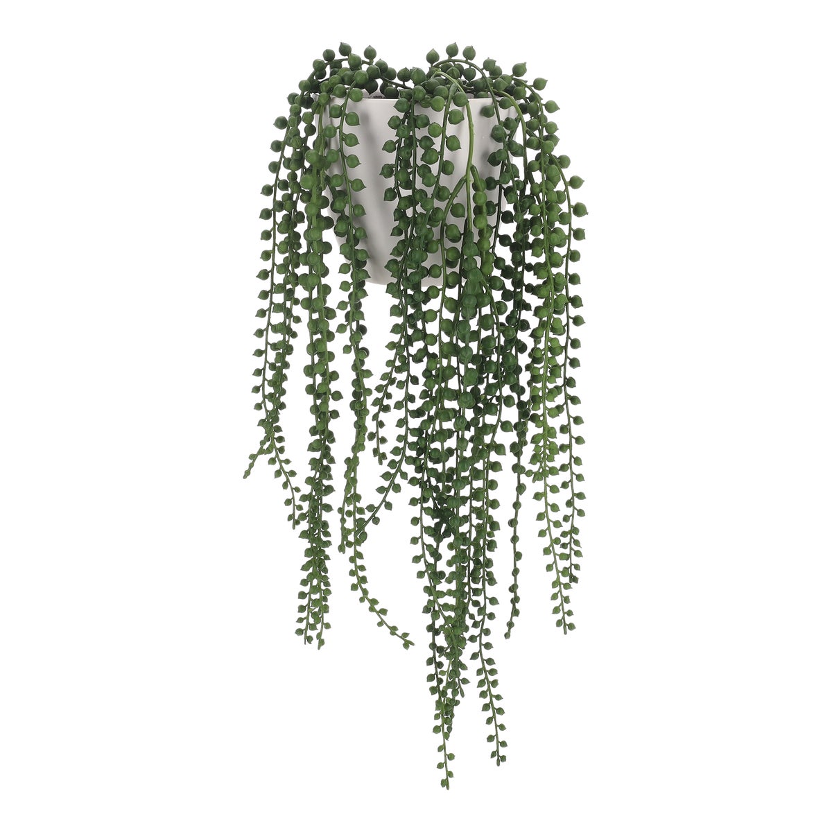 Vetplant hangend in pot 46 cm Vetplant hangend in pot 46 cm