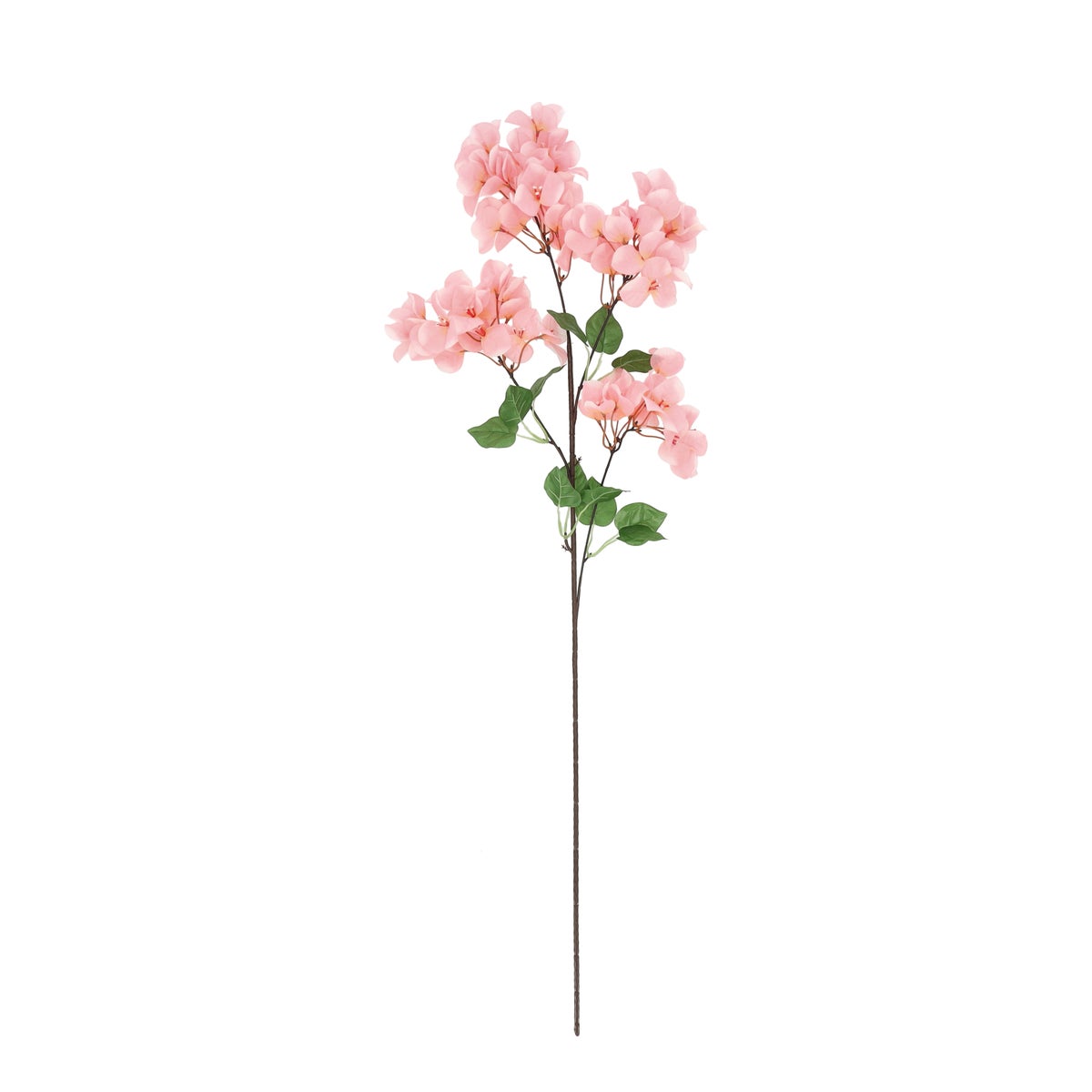 Bougainville roze 102 cm Bougainville roze 102 cm