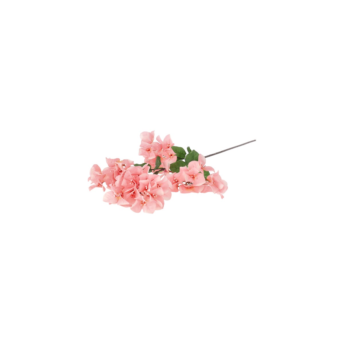 Bougainville roze 102 cm Bougainville roze 102 cm