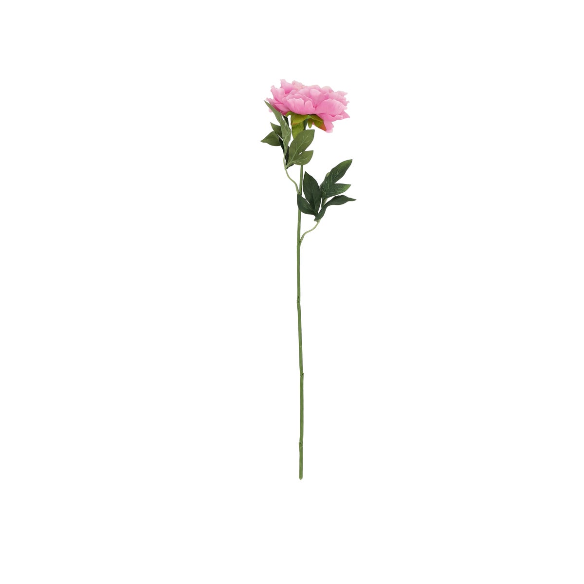 Pioen roze 66 cm Pioen roze 66 cm