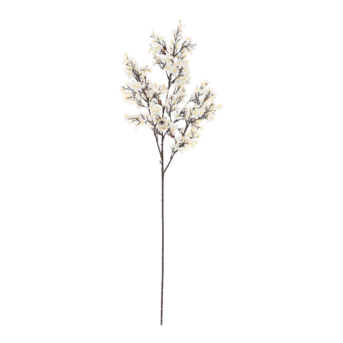 Tak Amygdalus ivoor 96 cm Tak Amygdalus ivoor 96 cm