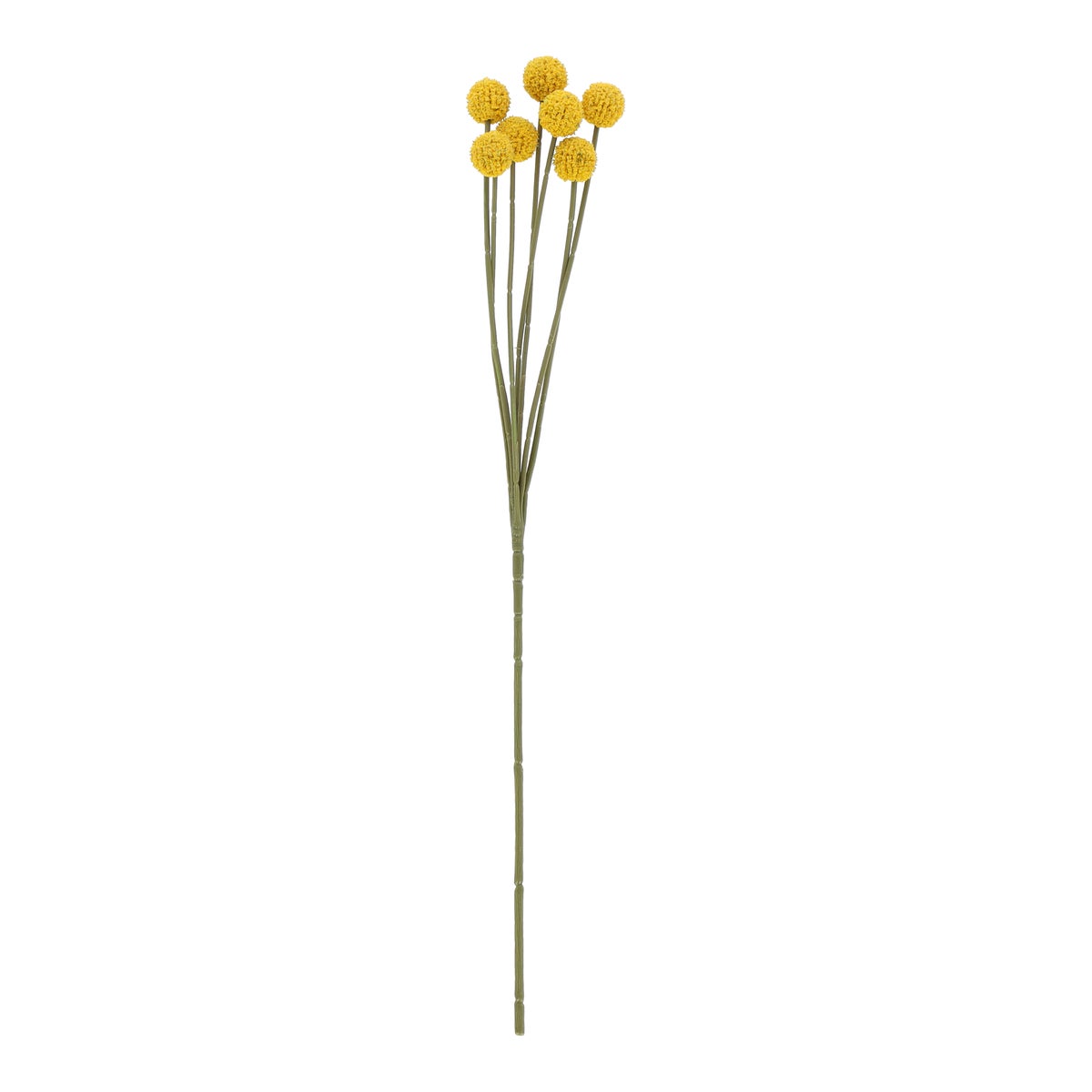 Tak Craspedia geel 60 cm Tak Craspedia geel 60 cm
