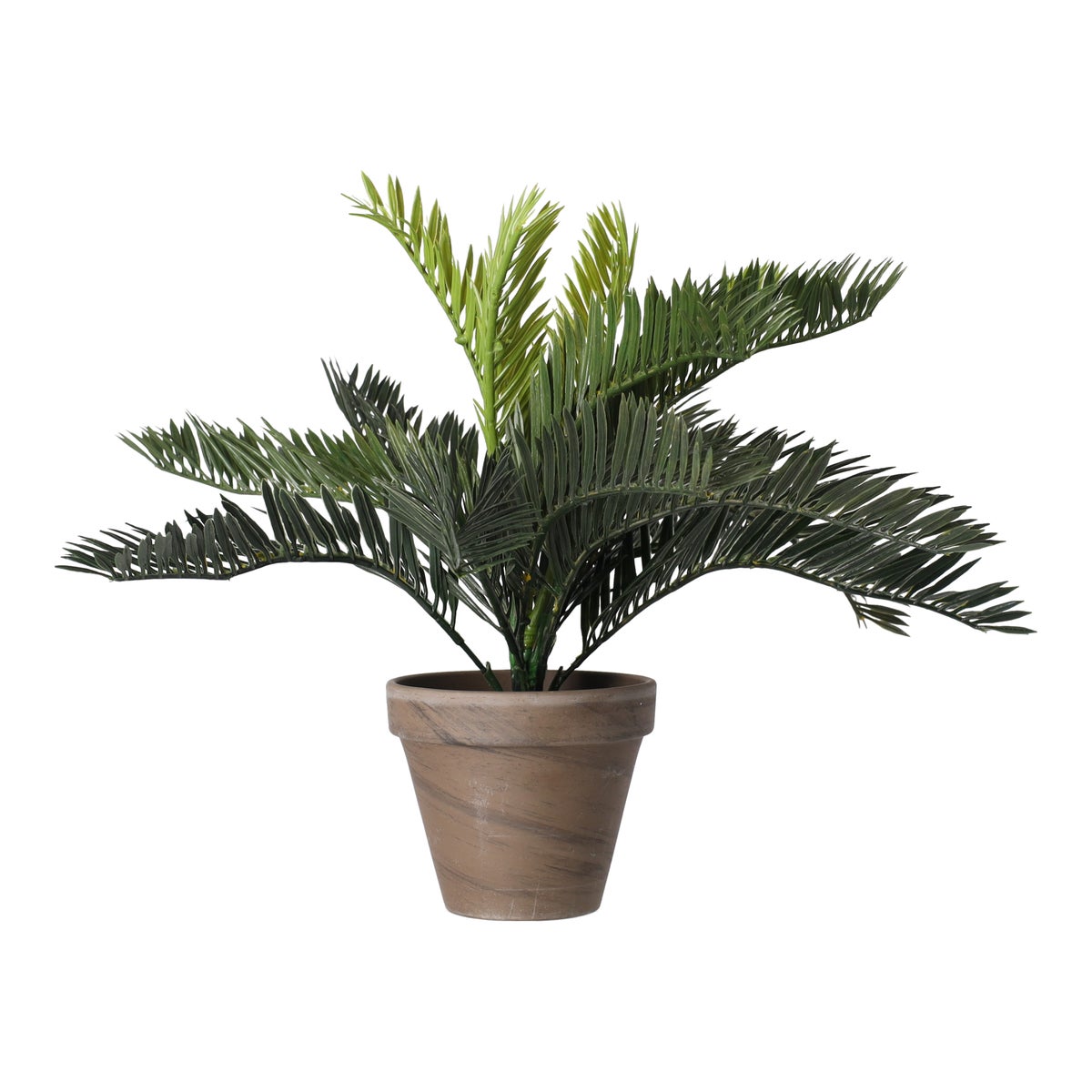 Palm Cycas in pot grijs 33x34cm Palm Cycas in pot grijs 33x34cm