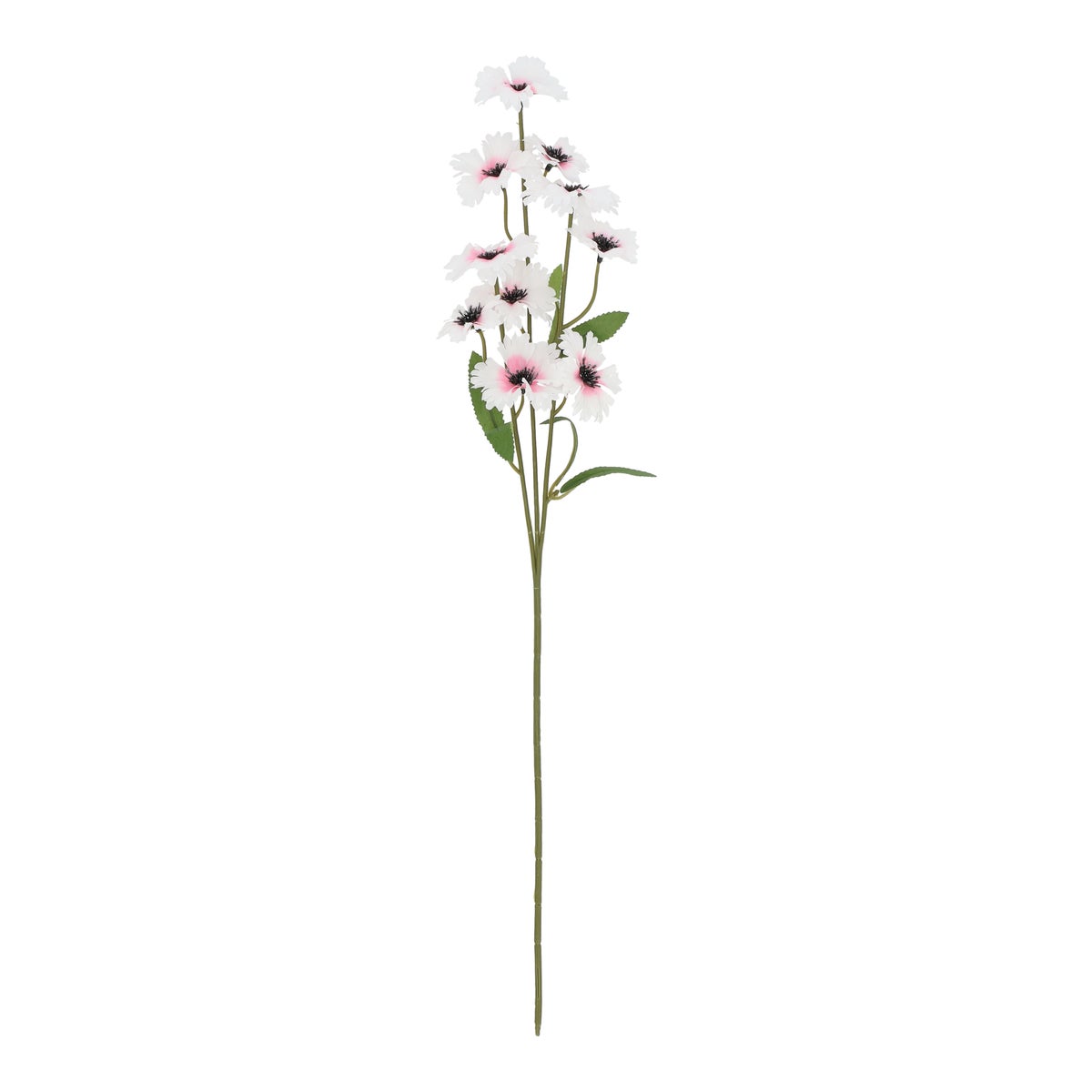 Tak cornflower roze 55 cm Tak cornflower roze 55 cm