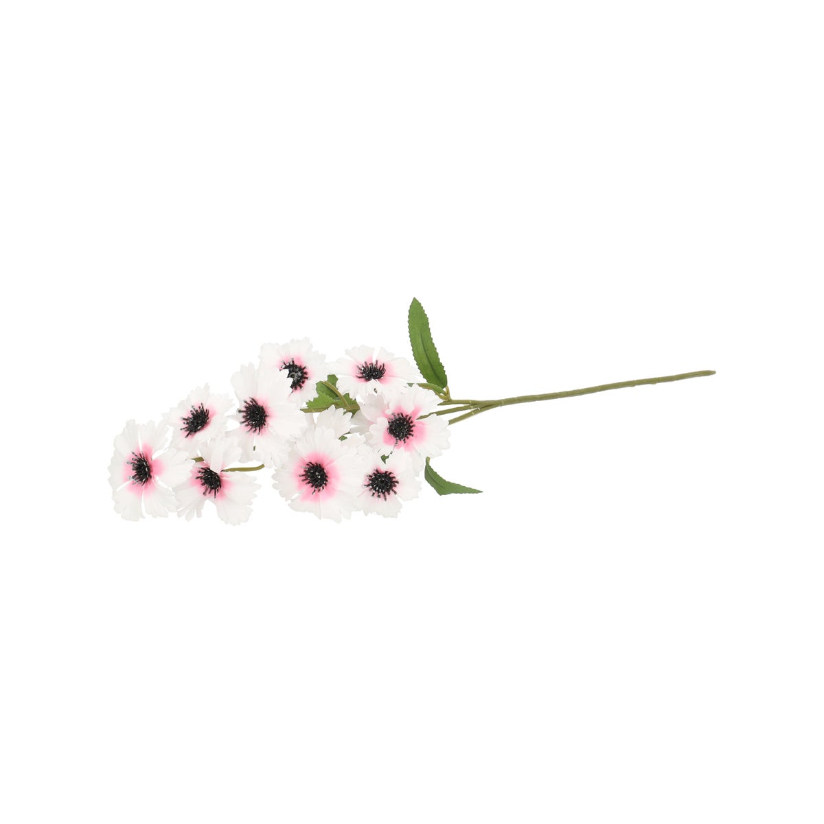 Tak cornflower roze 55 cm Tak cornflower roze 55 cm