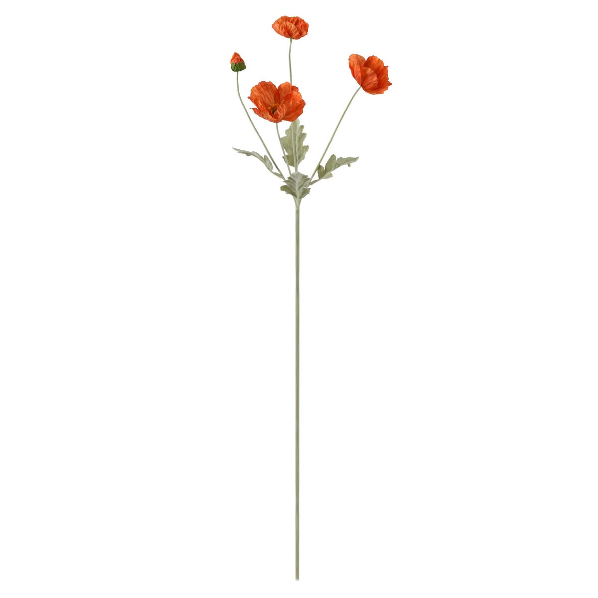 Papaver oranje 63 cm Papaver oranje 63 cm