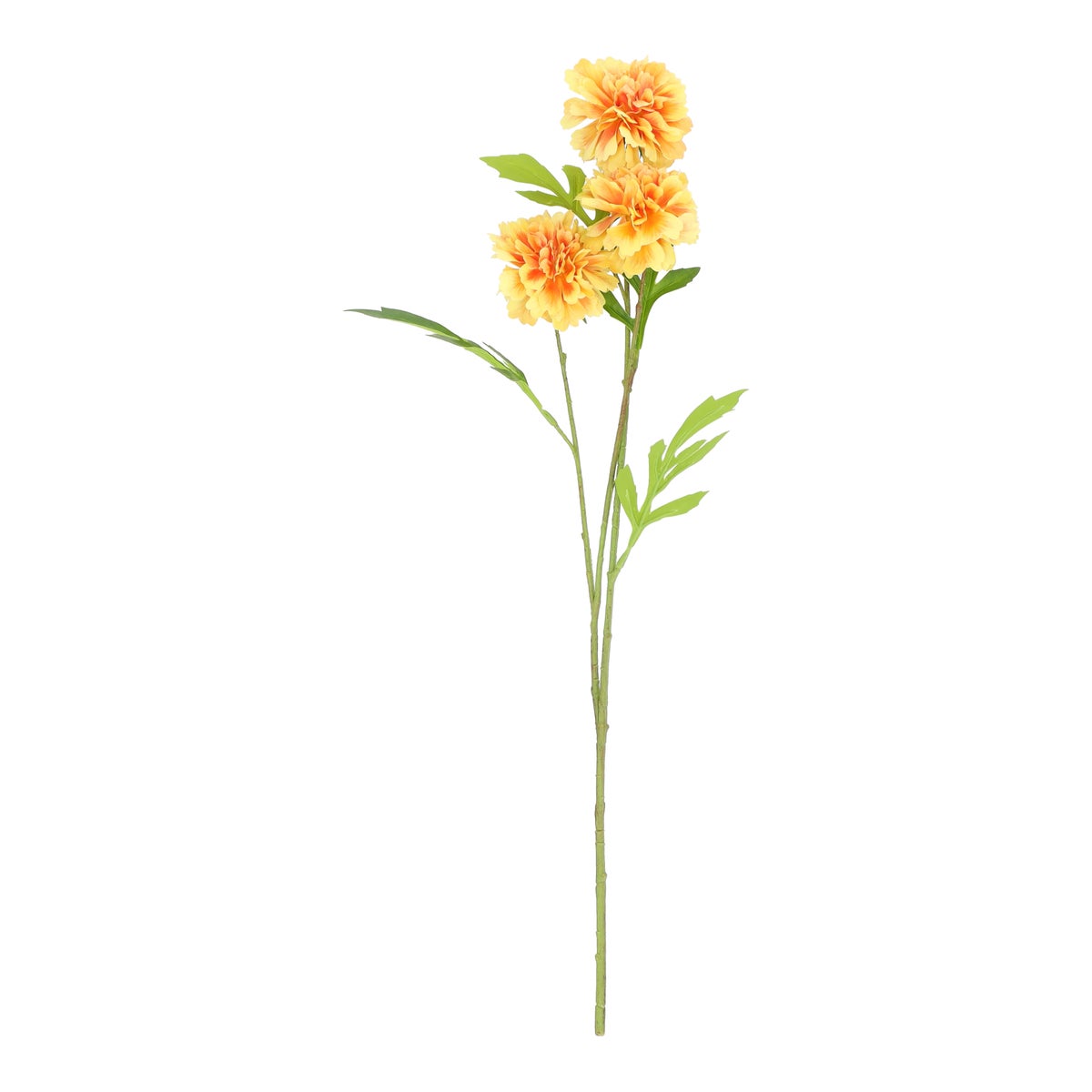 Tak marigold geel 61 cm Tak marigold geel 61 cm