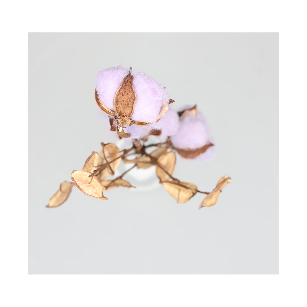 Tak katoen foam lila 59x20x3cm Tak katoen foam lila 59x20x3cm