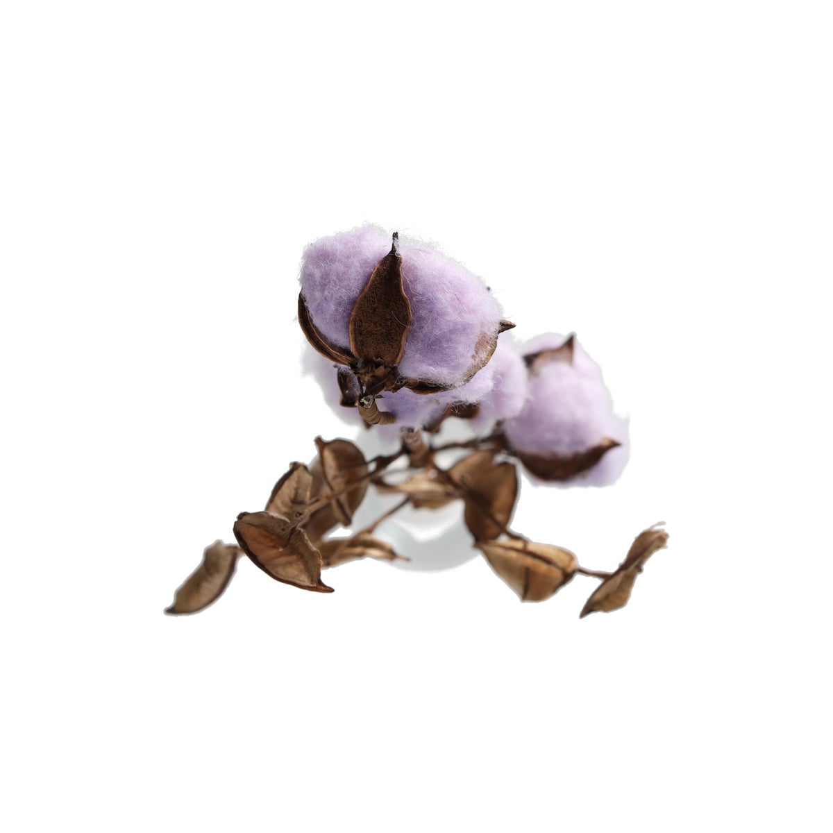 Tak katoen foam lila 59x20x3cm Tak katoen foam lila 59x20x3cm