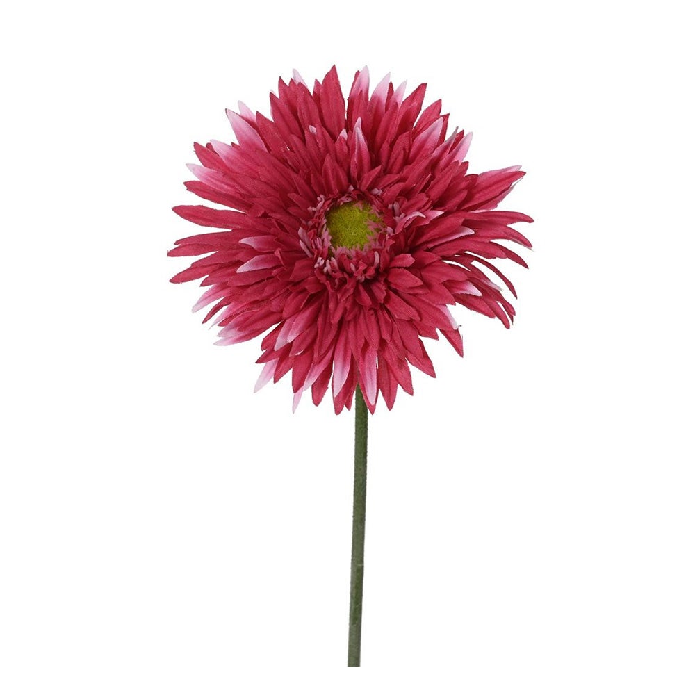 Gerbera fuchsia 54 cm Gerbera fuchsia 54 cm