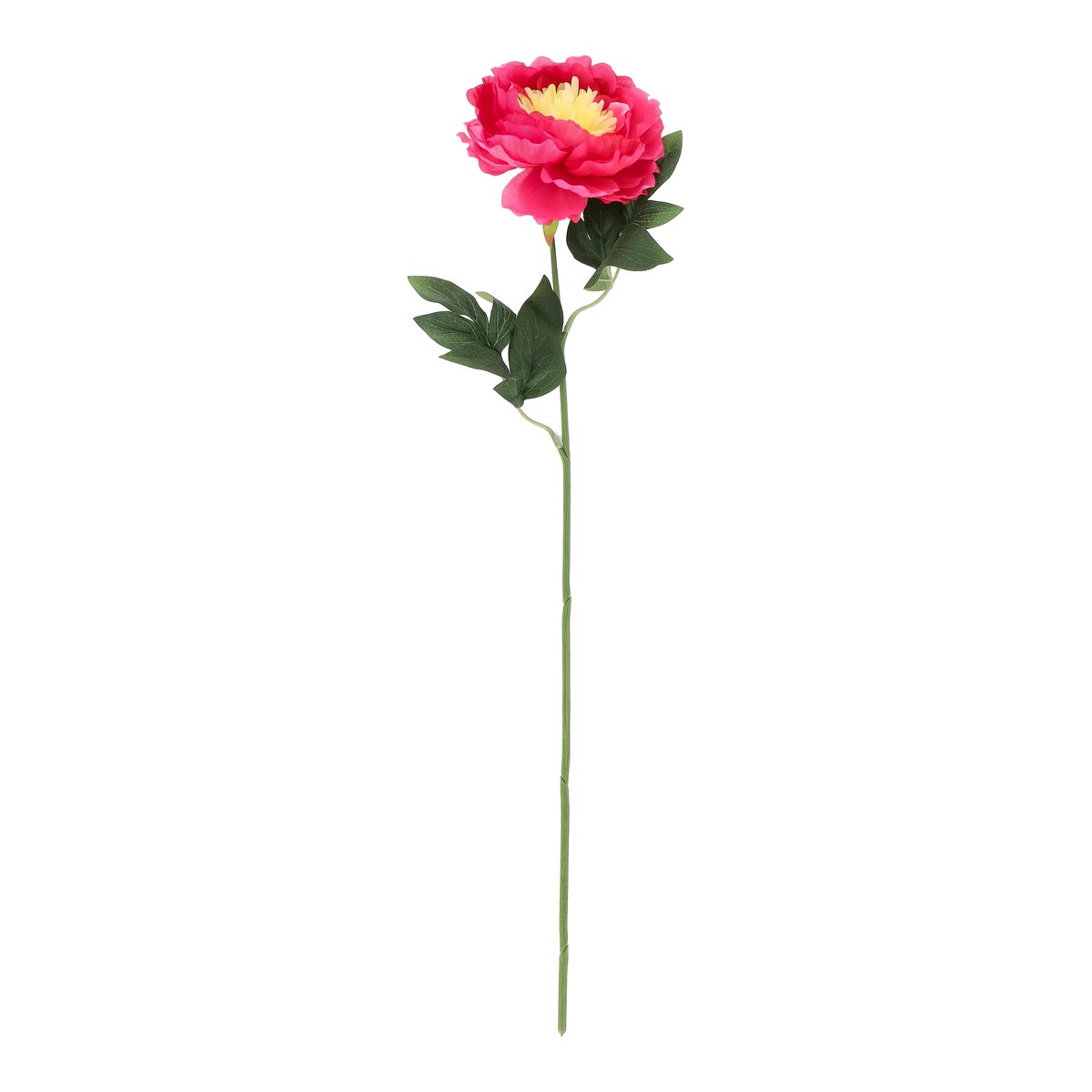 Pioen fuchsia 66 cm Pioen fuchsia 66 cm