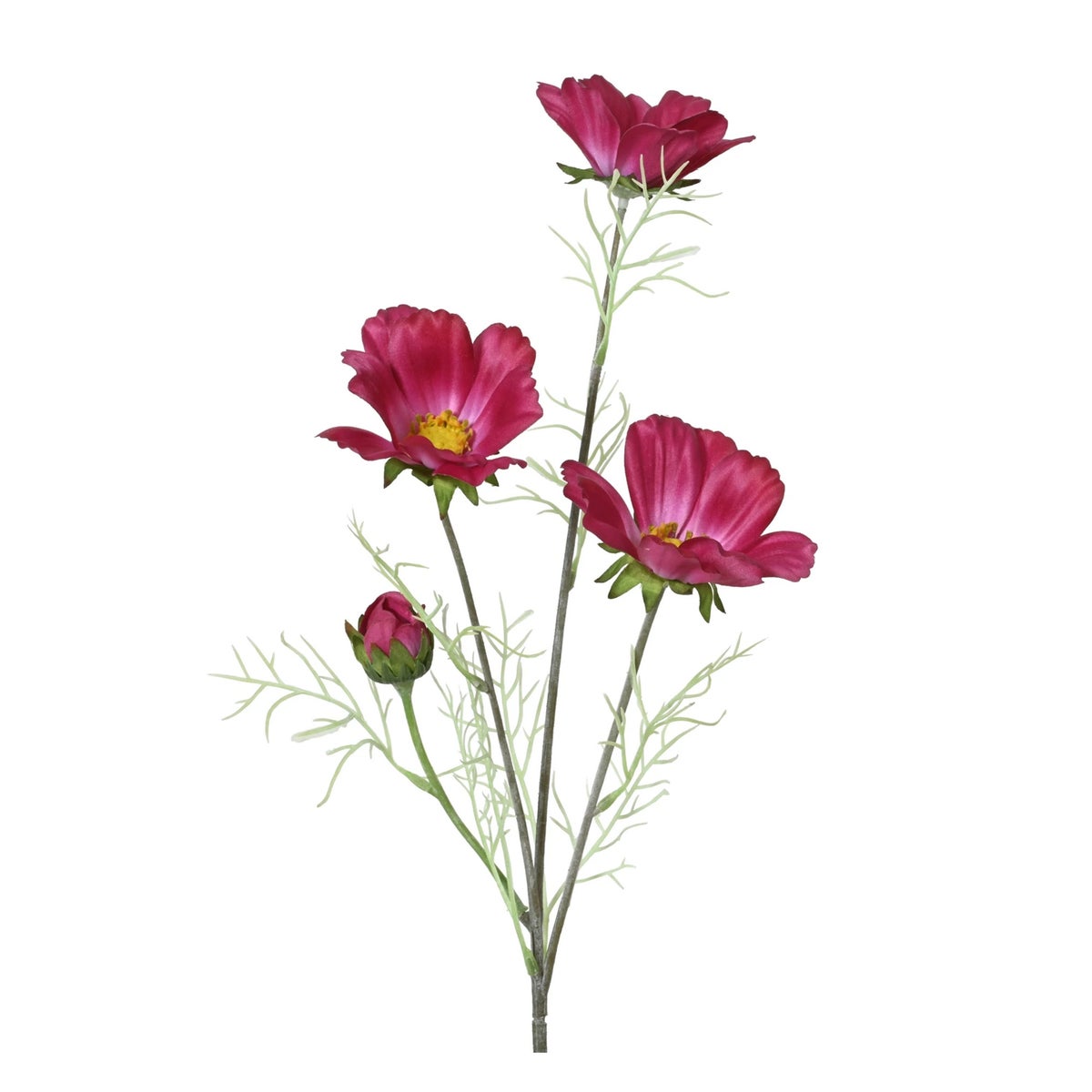 Calliopsis op steel 60 cm fuchsia Calliopsis op steel 60 cm fuchsia