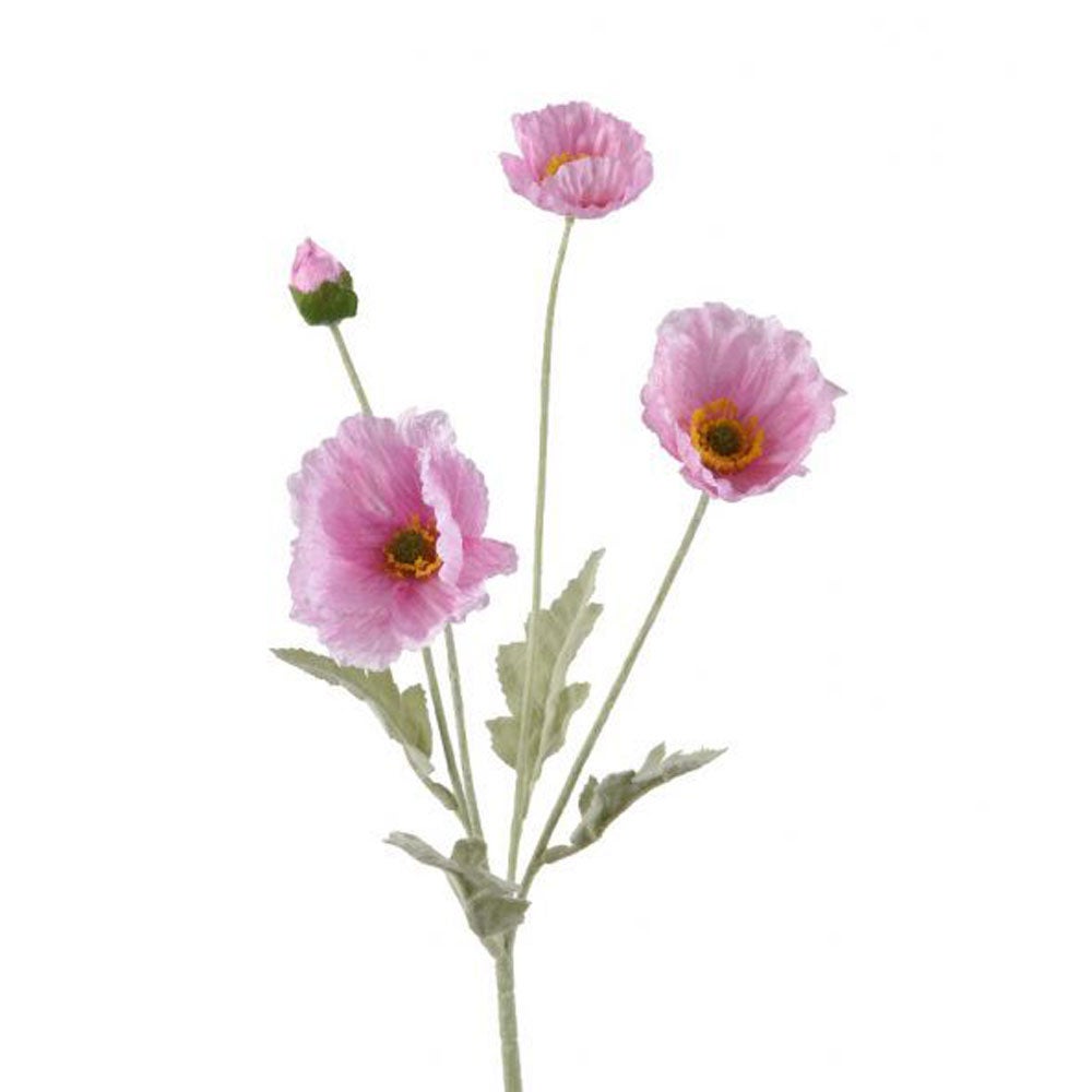 Papaver roze 63cm Papaver roze 63cm