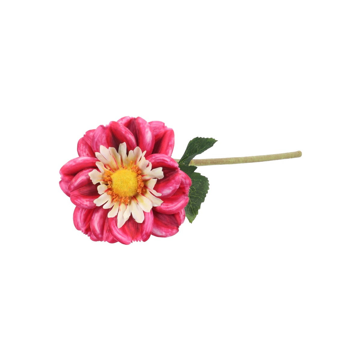 Tak dahlia bumble rumble fuchsia 50 cm Tak dahlia bumble rumble fuchsia 50 cm