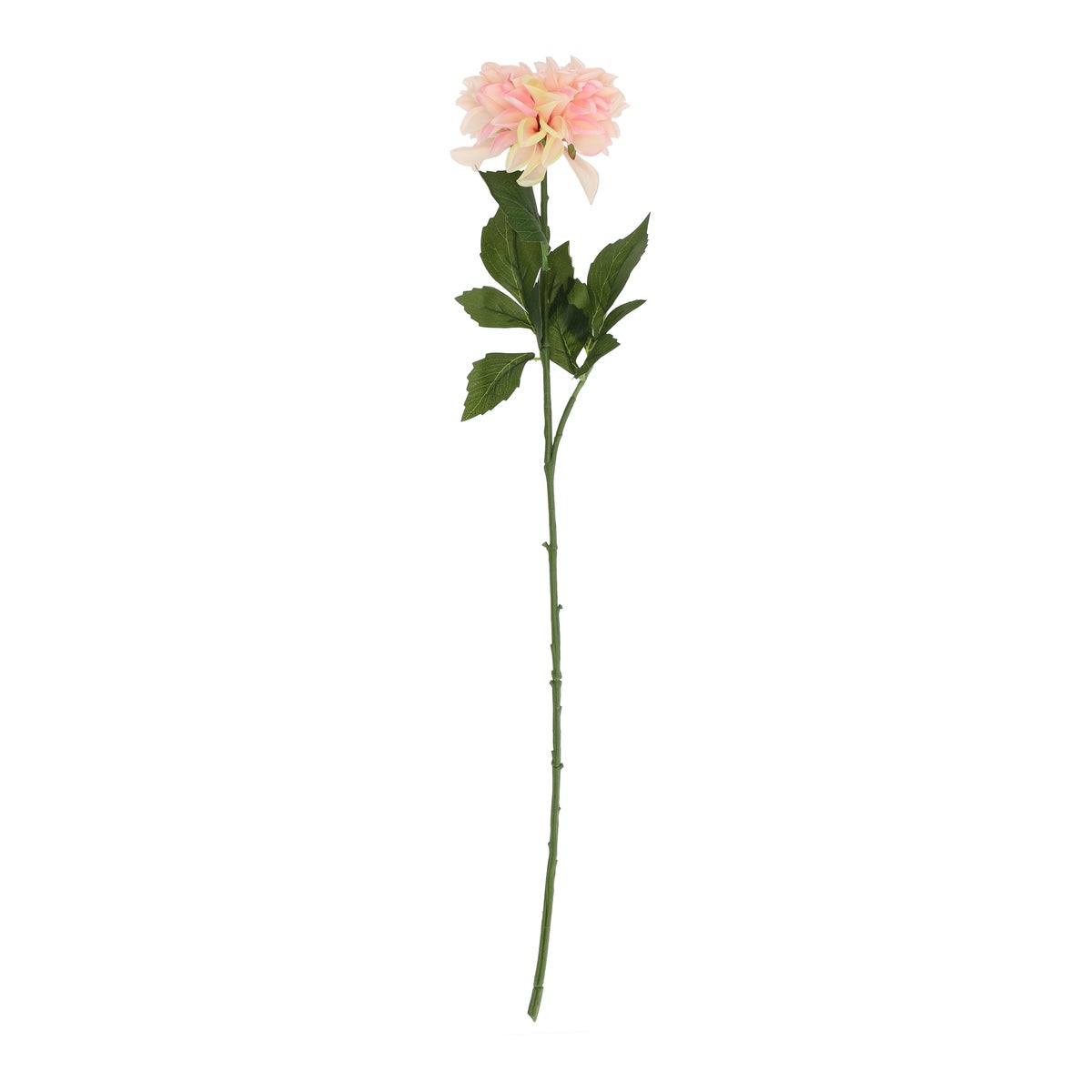 Tak Dahlia 71 cm roze Tak Dahlia 71 cm roze