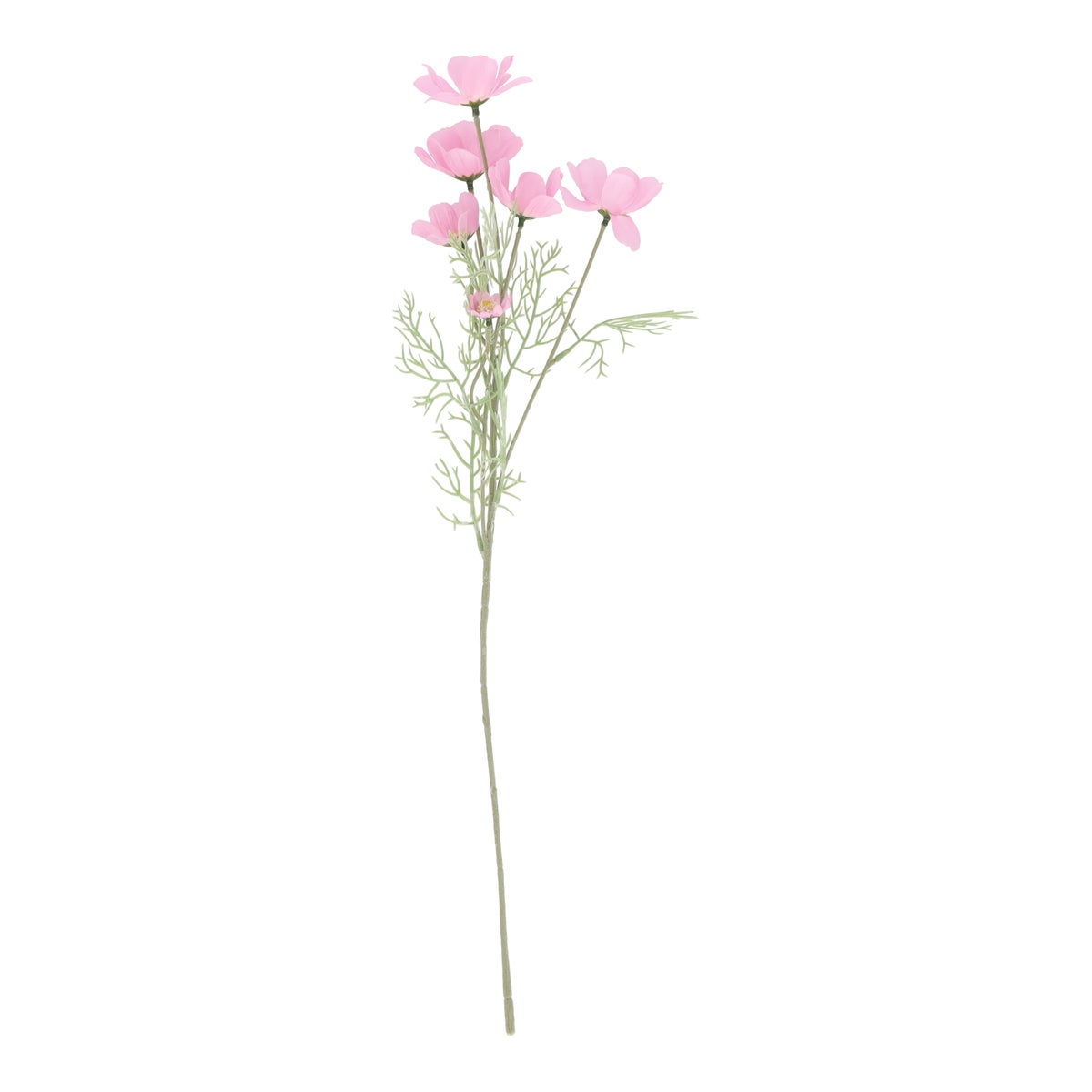 Tak Calliopsis 63 cm paars Tak Calliopsis 63 cm paars