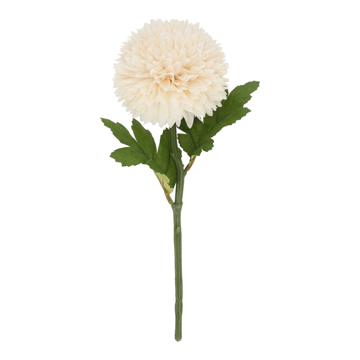 Tak Dahlia 30 cm wit Tak Dahlia 30 cm wit