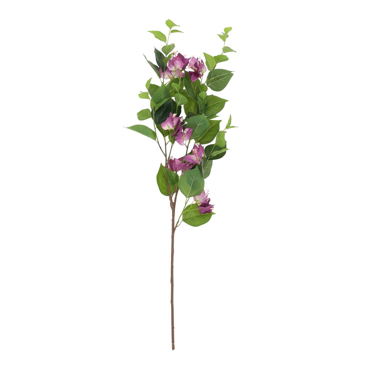 Tak bougainvillea paars Tak bougainvillea paars
