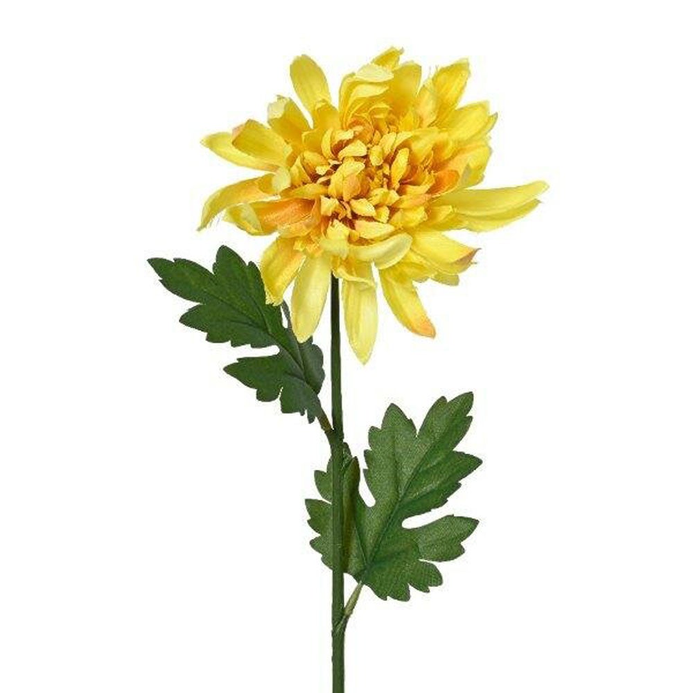 Chrysant geel 60cm Chrysant geel 60cm
