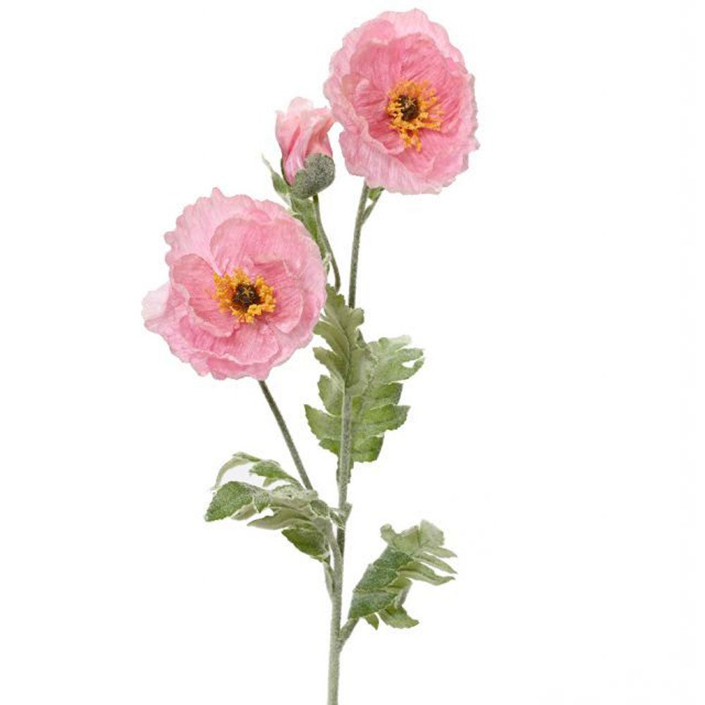 Papaver roze 106 cm Papaver roze 106 cm