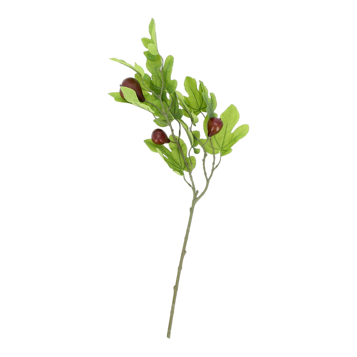 Tak vijg 77 cm Tak vijg 77 cm