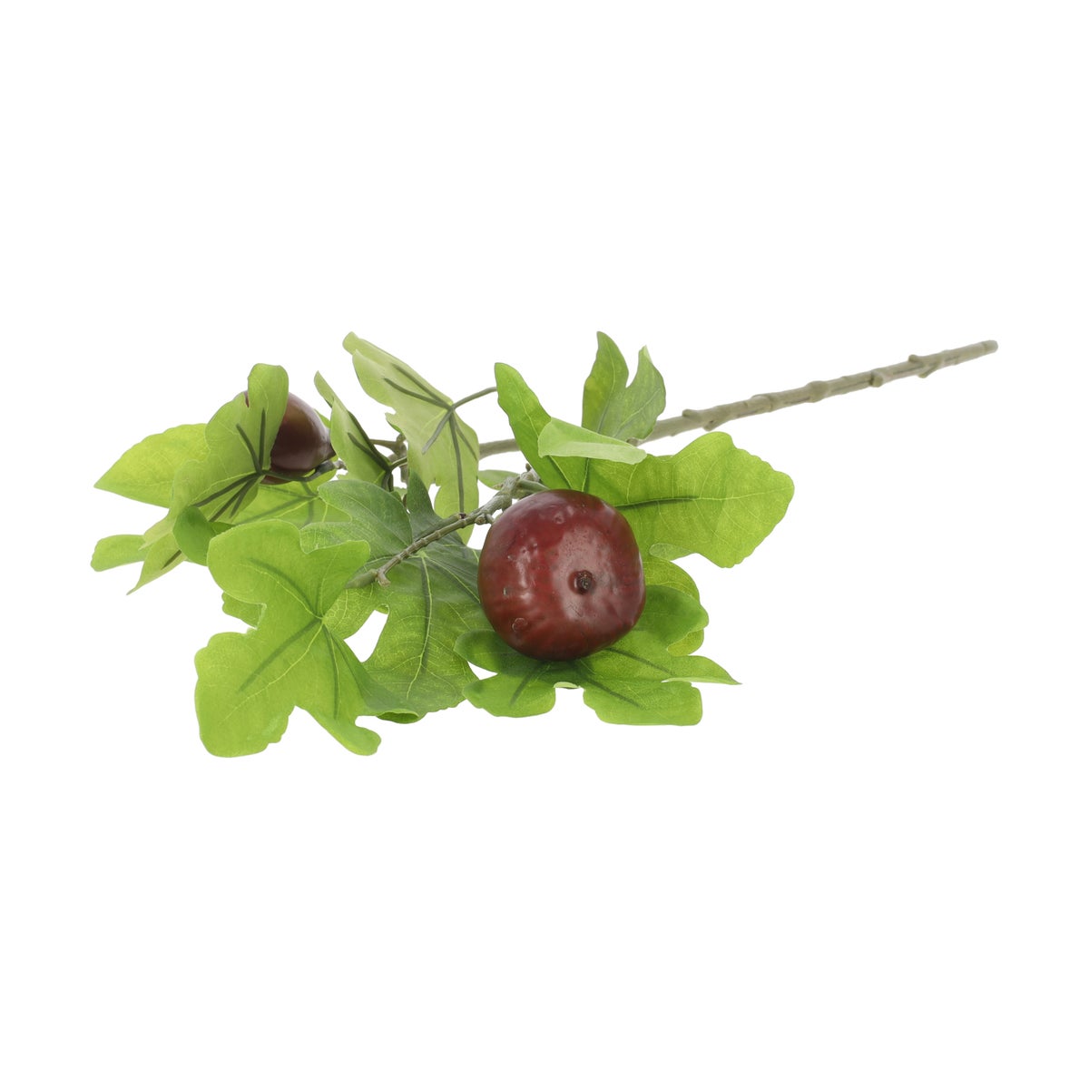 Tak vijg 77 cm Tak vijg 77 cm