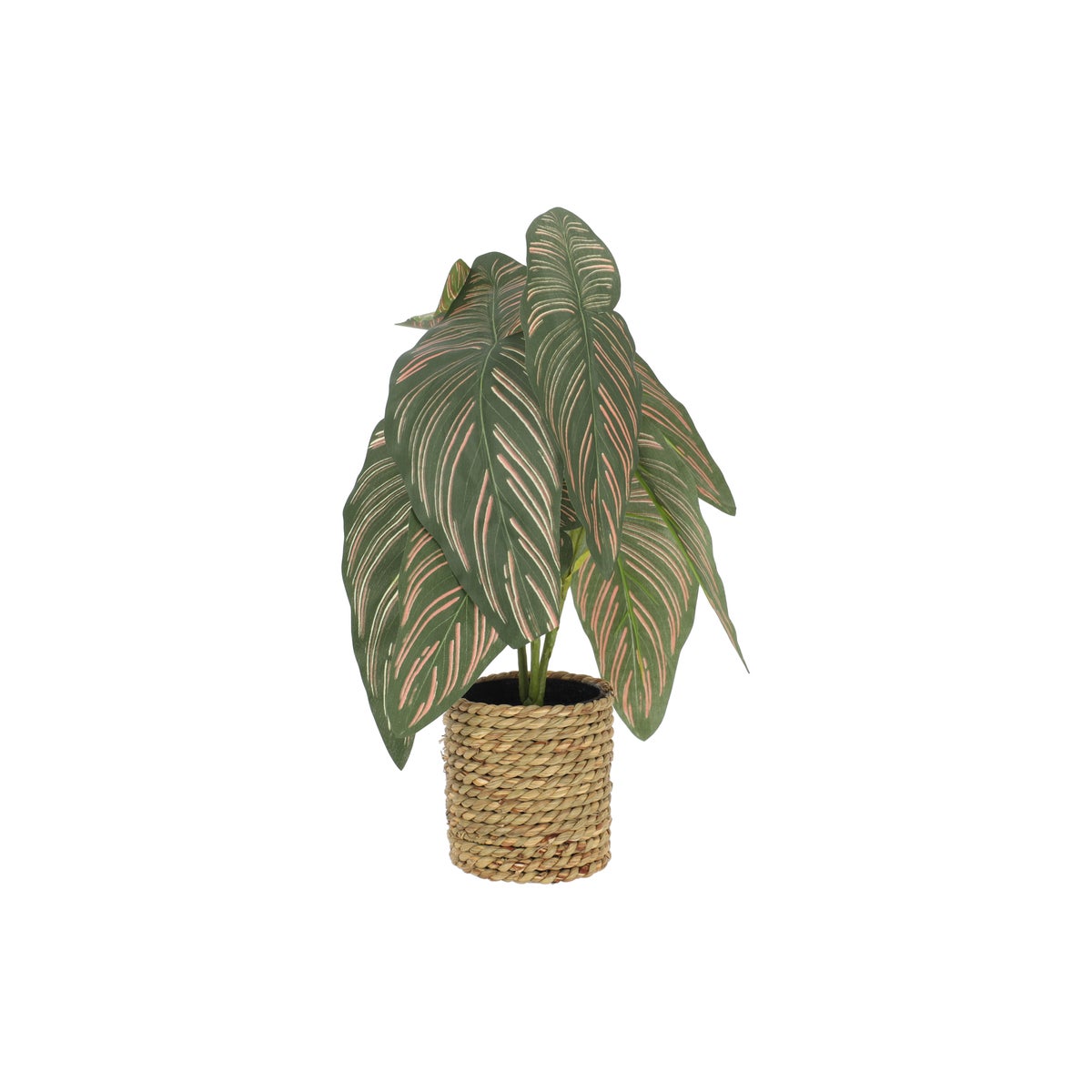 Plant in pot met graslook 35 cm - 4 assorti Plant in pot met graslook 35 cm - 4 assorti