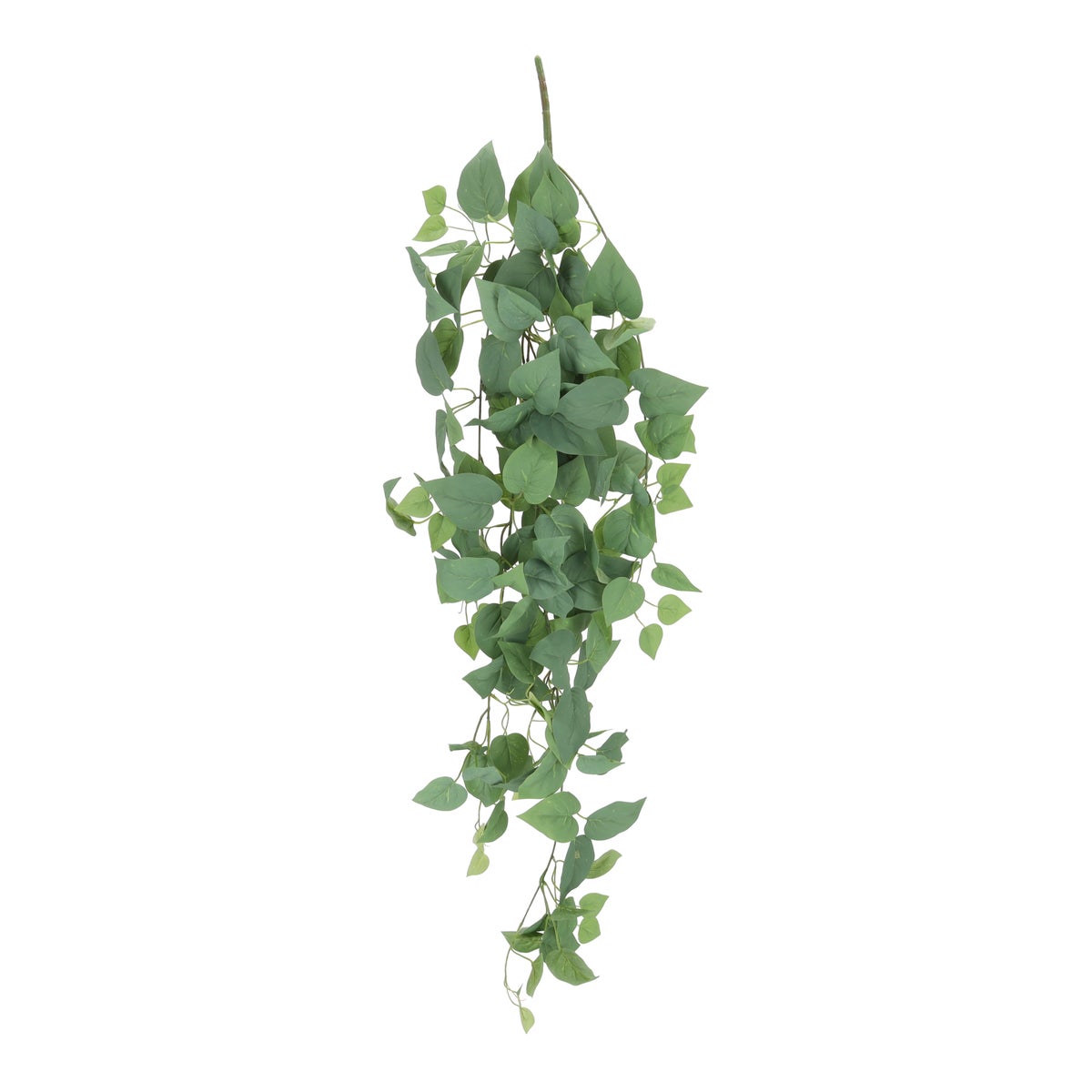 Hangplant Aureum lichtgroen 120 cm Hangplant Aureum lichtgroen 120 cm