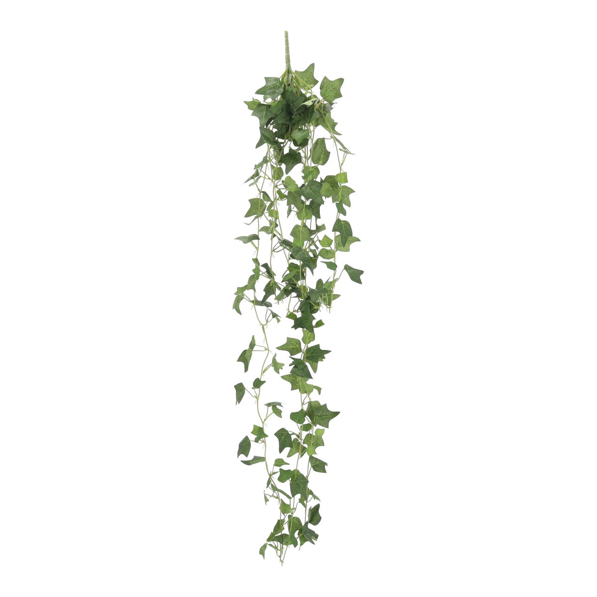 Hangplant Hedera 120 cm Hangplant Hedera 120 cm