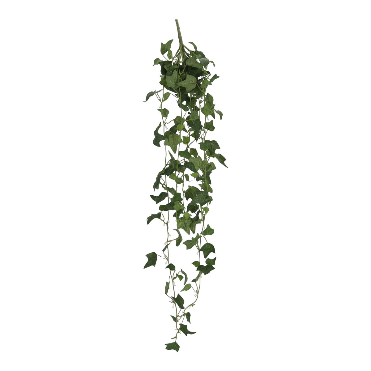 Hangplant Hedera 90 cm Hangplant Hedera 90 cm