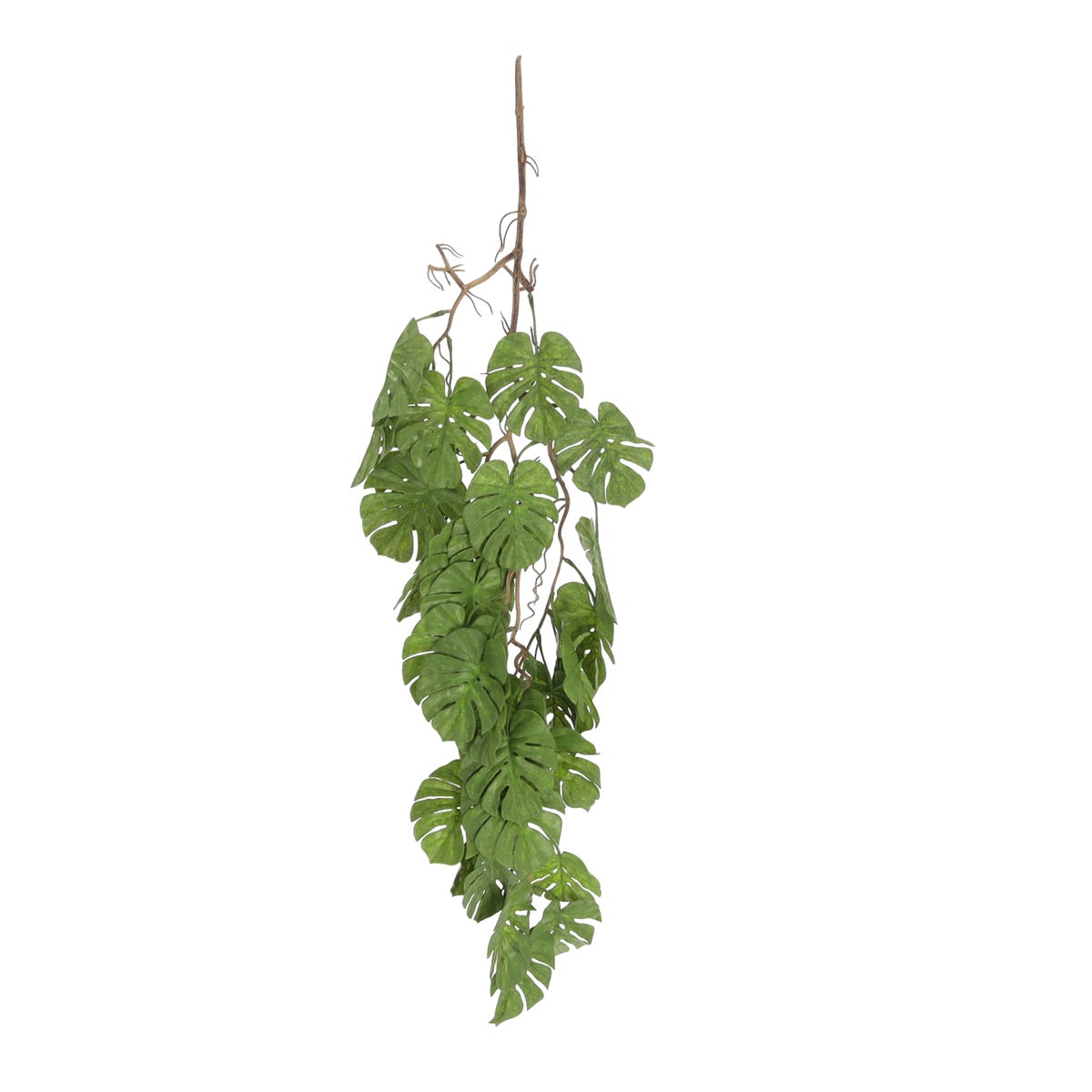 Hangplant Monstera 99 cm Hangplant Monstera 99 cm